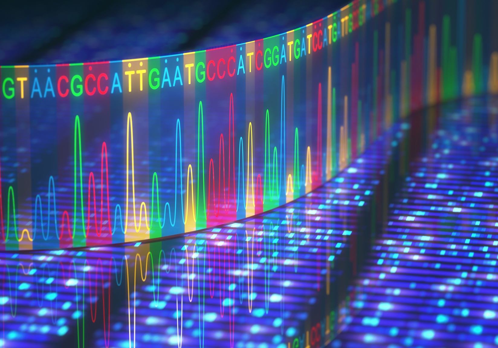 Les séquences des transposons représentent une part importante du génome humain. © ktsdesign, Fotolia