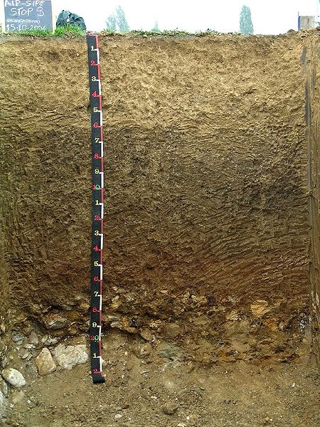 Le taux de résistance du sol peut être mesuré avec différents outils manuels et mécaniques, qui inspectent le terrain en profondeur. © Francesco Malucelli, CC BY-SA 3.0, Wikimedia Commons