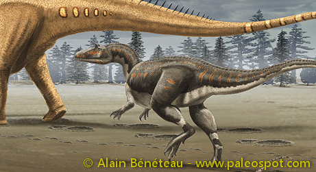Reconstitution d'une attaque sur un Diplodocus par un Allosaurus. © Alain Bénéteau