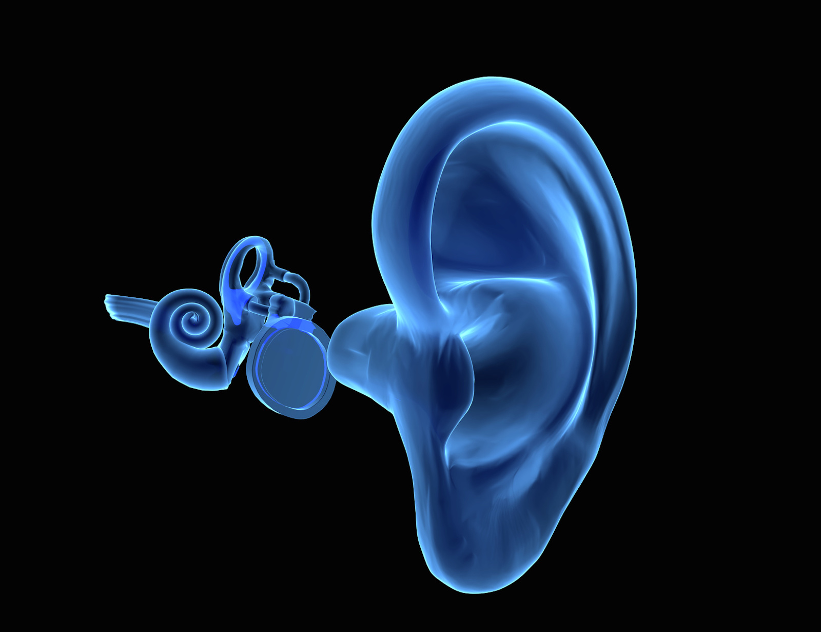 Le tympan est une membrane située entre l’oreille externe et l’oreille moyenne. © goanovi, Fotolia