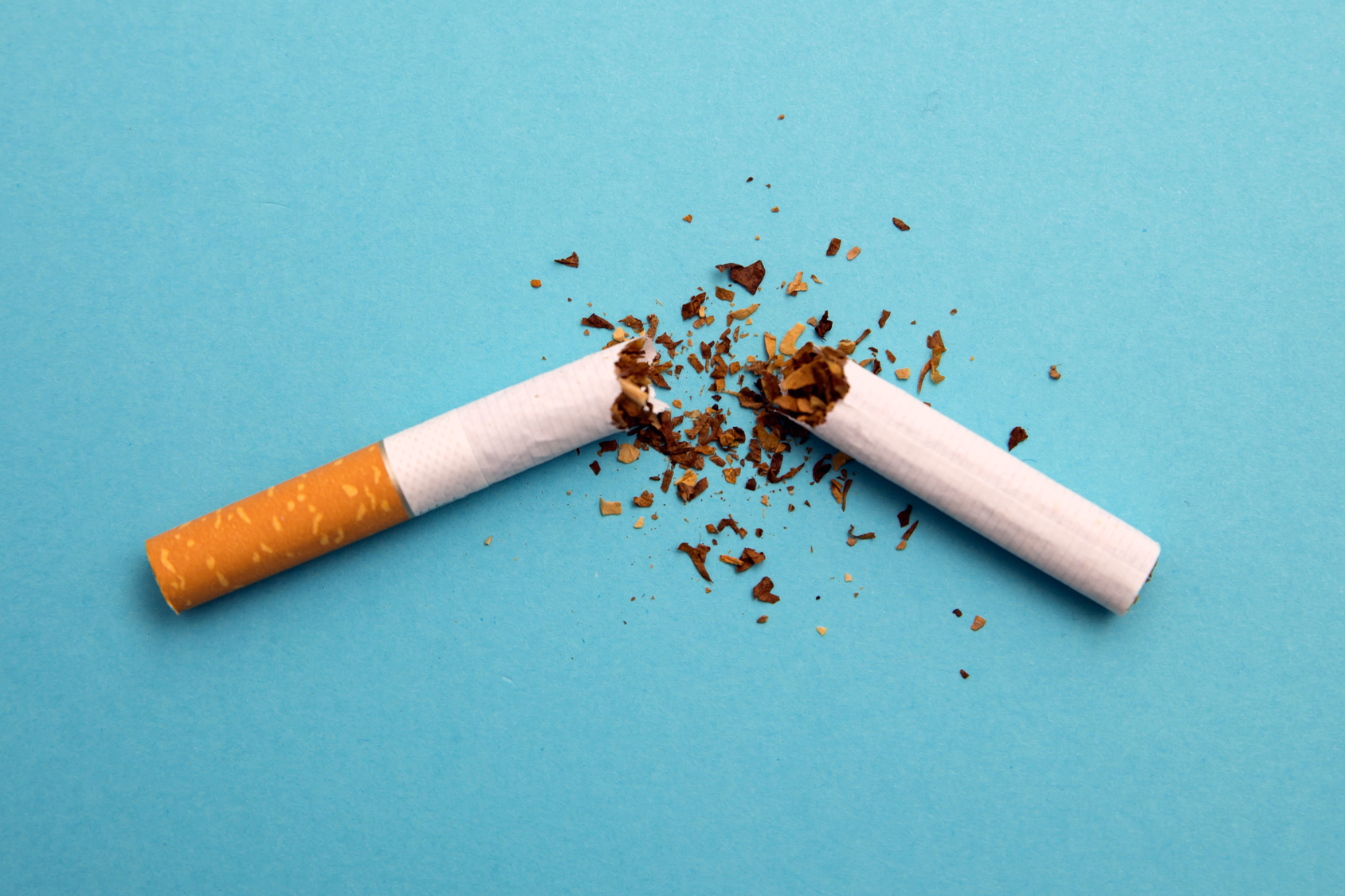 Le tabac multiplie par 10 ou 15 le risque de cancer du poumon. © ivanchik29, Fotolia