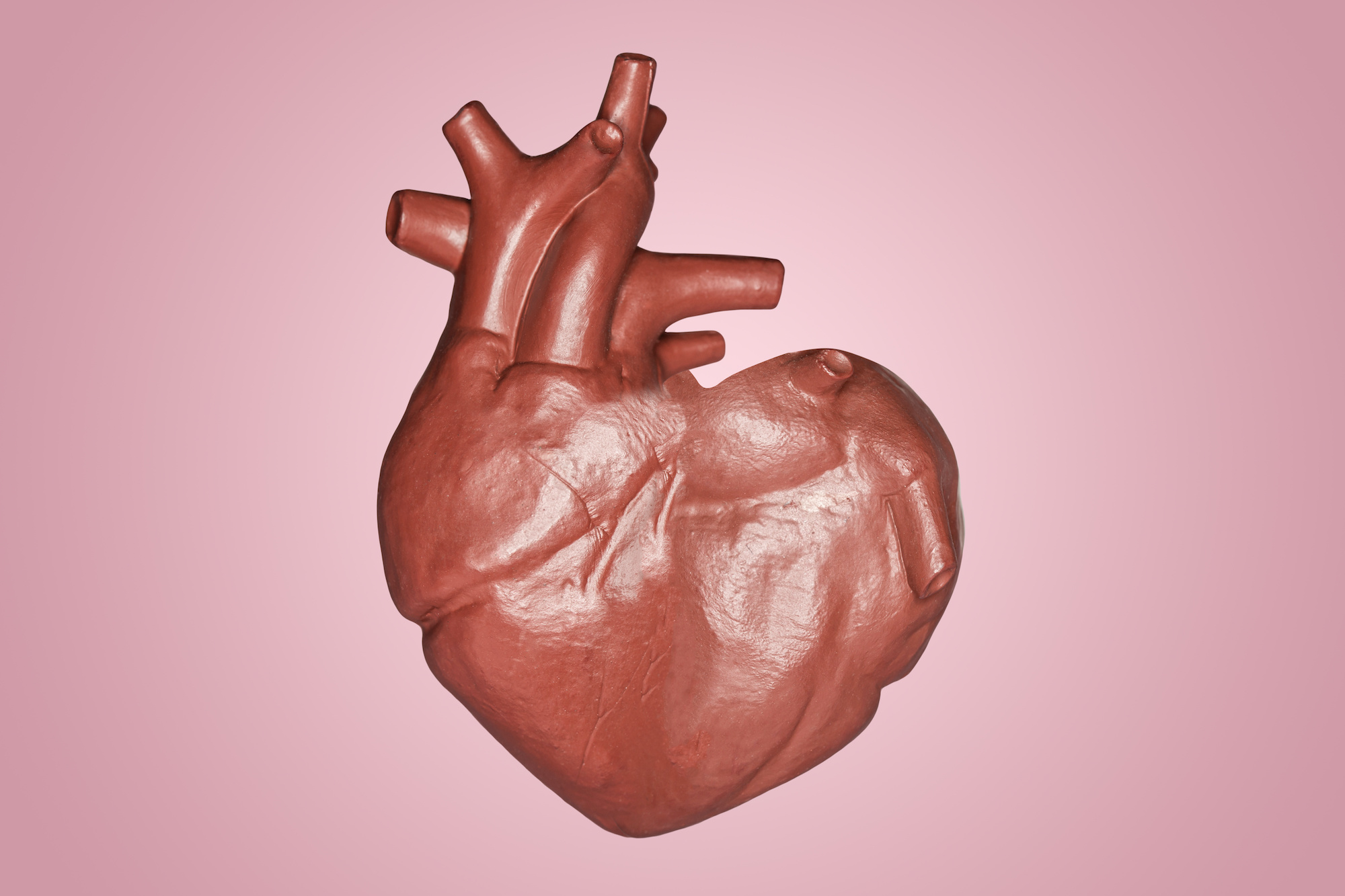 L’endocardite est une inflammation de l’endocarde, la paroir interne du cœur. © Nitiphol, Adobe Stock