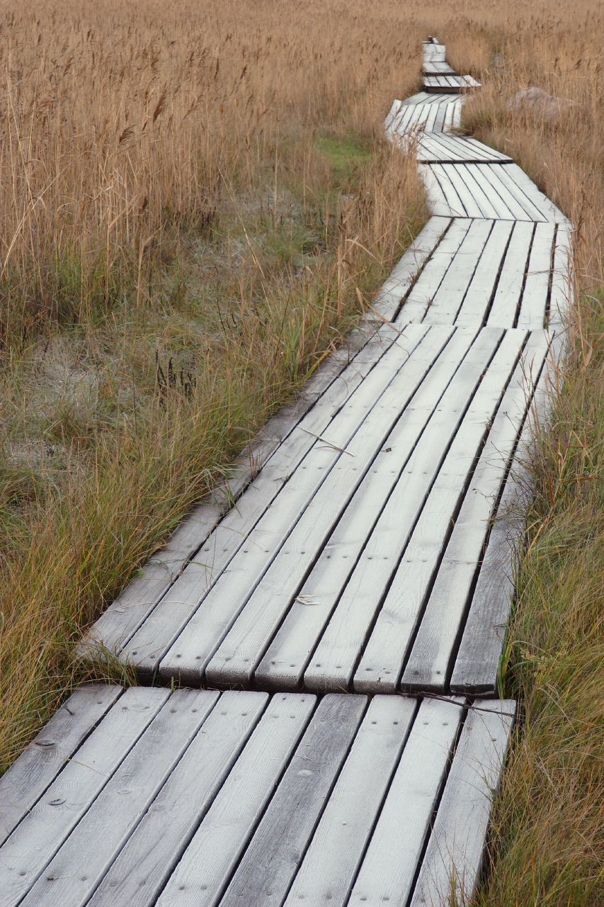Les caillebotis sont plus pratiques qu'esthétiques. Ils peuvent par exemple former un chemin au milieu des étangs pour la chasse aux canards. © The RedBurn, cc-by-sa-2.0., Wikimedia Commons