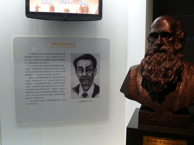 Mooto Kimura (à gauche), père de la théorie neutraliste en évolution moléculaire, au côté de Darwin (à droite)... © loronet CC by-nc-nd 2.0