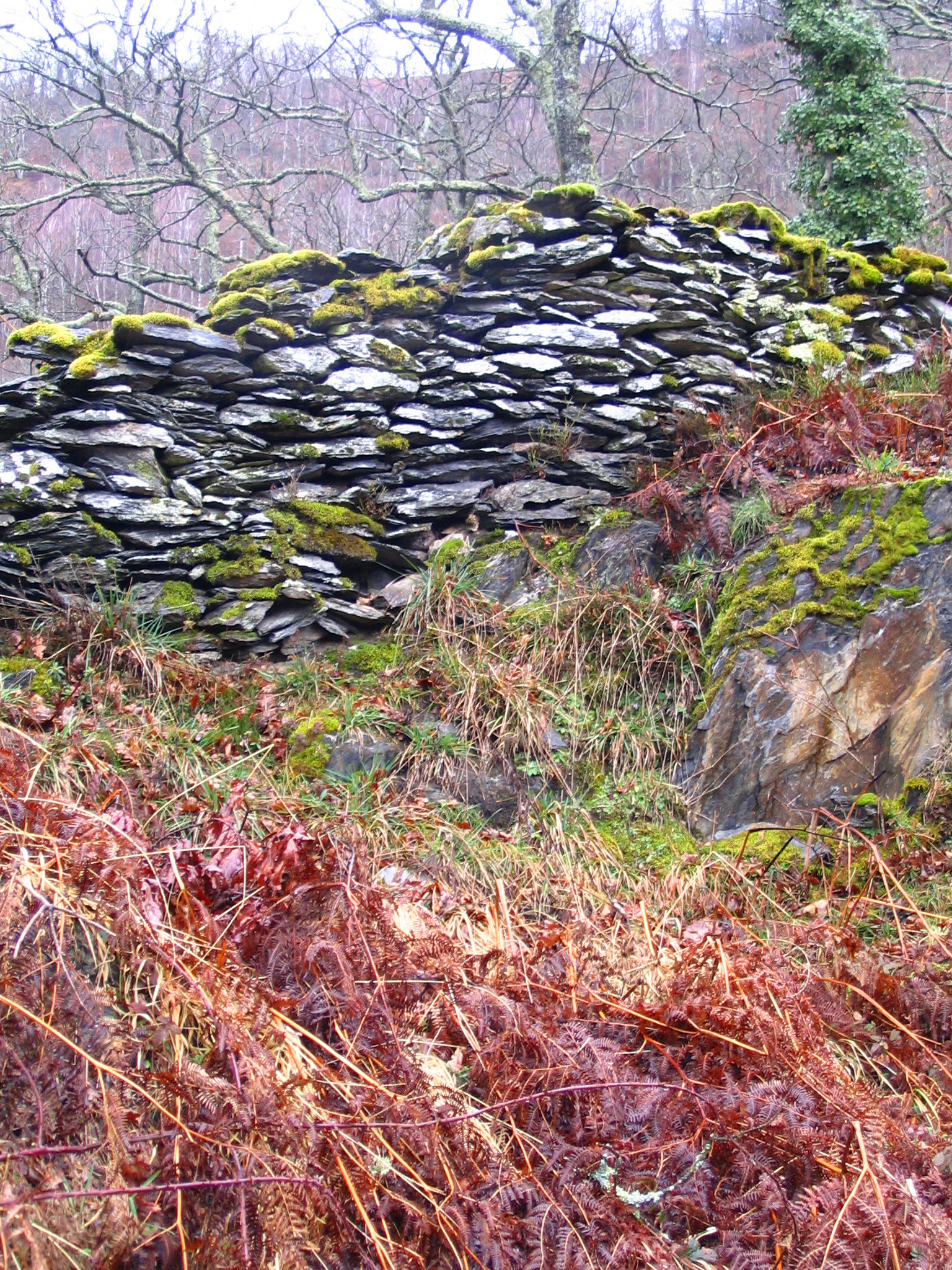 Un muret est un petit mur servant de barrière ou de clôture. © P Charpiat, CC BY-SA 3.0, Wikimedia Commons