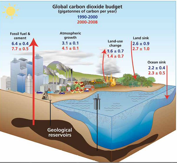 Bilan du CO2&nbsp;(Global carbon dioxide budget)&nbsp;anthropique pour 1990-2000 (en bleu) et 2000-2008 (en rouge), en milliards de tonnes de carbone (GtC) par an.&nbsp;Les émissions des combustibles fossiles (fossil fuel and cement)&nbsp;et celles dues aux changements&nbsp;de l’utilisation des sols (land-use change)&nbsp;sont basées sur les statistiques économiques et sur celles des déforestations. La croissance du taux de CO2&nbsp;atmosphérique (atmospheric growth)&nbsp;est mesurée directement. Les puits de CO2&nbsp;océanique et continental (ocean sink&nbsp;et&nbsp;land sink) sont estimés à partir des observations pour 1990-2000 (Denman&nbsp;et al. IPCC 2007). Pour 2000-2008, le puits océanique est estimé en utilisant la moyenne de plusieurs modèles, tandis que le puits terrestre est estimé comme un résidu des autres termes.&nbsp;© Le Queré, Global Change,&nbsp;2009