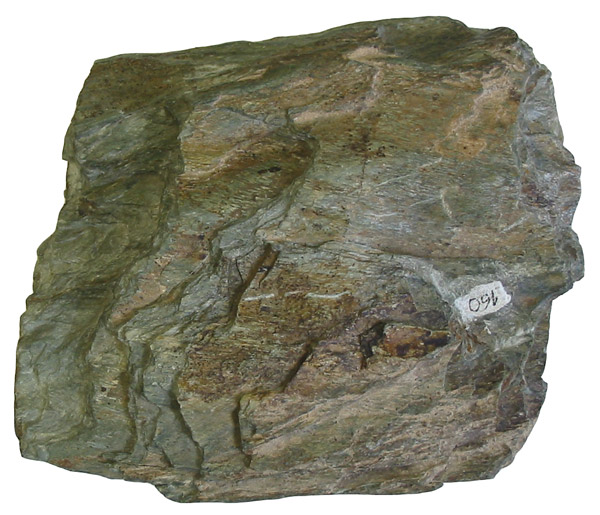 Le schiste fait partie des roches métamorphiques. © Siim Sepp, Wikipédia cc by sa 3.0