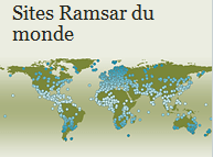 Localisation dans le monde des zones humides inscrites à Ramsar. © Convention de Ramsar