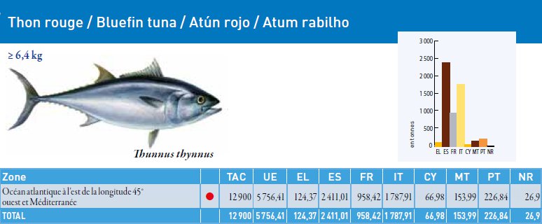 Le TAC du thon rouge, pour 2011, est de 12.900 tonnes et de 5.756 tonnes pour l'Union européenne. Le point rouge signifie que le stock ne se trouve plus dans la limite biologique de sécurité. Malgré cela, on pêche... &copy; Commission européenne 2011