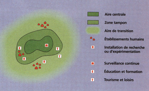 Les différentes zones concentriques d'une réserve de biosphère: de la réserve intégrale au centre à l'aire de transition où différentes activités humaines sont autorisées © Unesco
