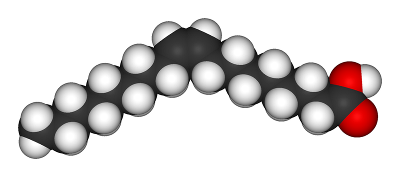 Les oméga-9, dont l'acide oléique, sont retrouvés en grande quantité dans l'huile d'olive. Crédits DR.