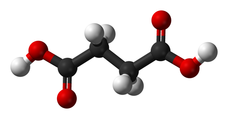 L'acide succinique est une molécule biologique. © Ben Mills, Wikimedia, domaine public