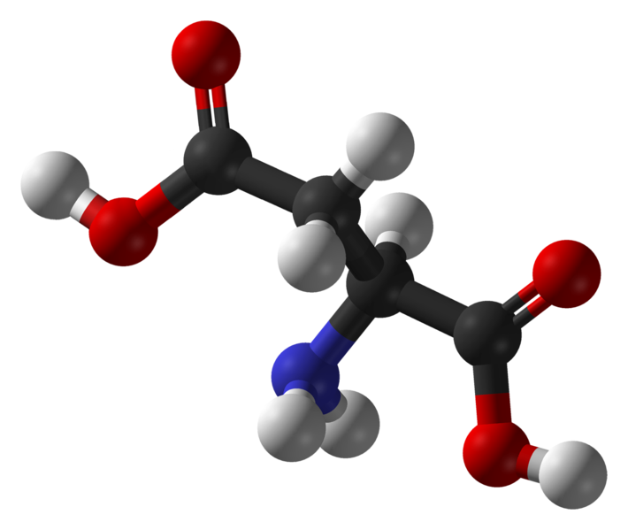 L'acide aspartique est un acide aminé acide (carbone en noir, oxygène en rouge, azote en bleu et hydrogène en blanc). © Ben Mills, domaine public