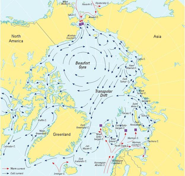 La gyre de Beaufort s'observe en Arctique (Beaufort Gyre en anglais). Le terme « gyre » fait référence à un tourbillon d'eau observable à l'échelle d'un bassin océanique complet. © NSIDC