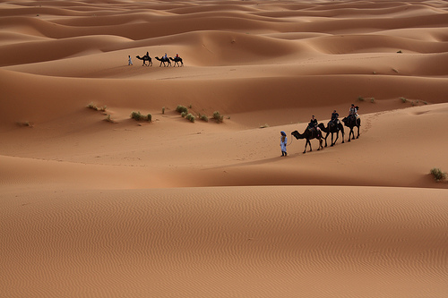Les ergs sont nombreux au Sahara. © Alex Lichtenberger, Flickr CC by-nc-nd 2.0