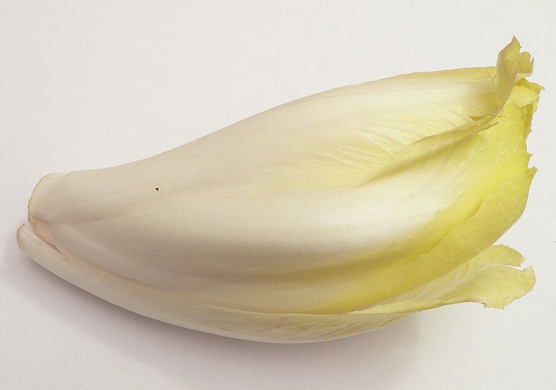 L'endive est un légume à la saveur délicatement amère. © Wikimedia Commons