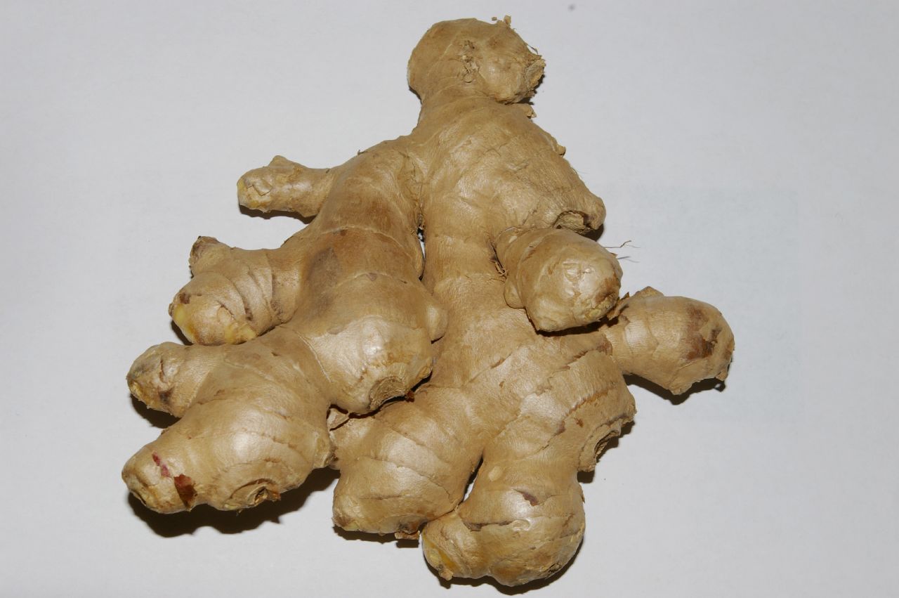 On attribue au rhizome de gingembre des vertus aphrodisiaques. © Notafish, Flickr, cc by sa 3.0