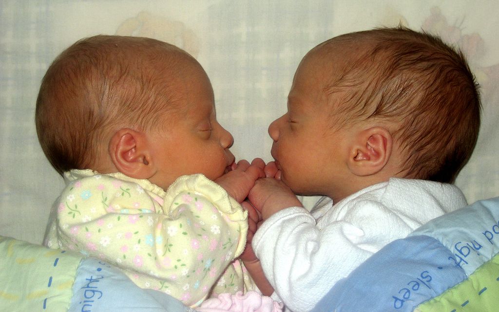 Les vrais jumeaux naissent dans un seul placenta : la maman vit donc une grossesse monochoriale. © 17Drew, Wikipédia, cc by sa 3.0