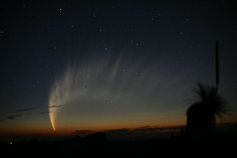 La comète C/2006 P1 photographiée au début de l'année 2007. Crédit R. H. McNaught