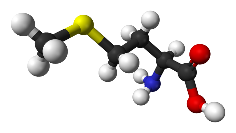 La méthionine est un acide aminé essentiel. © Ben Mills, Wikimedia, domaine public