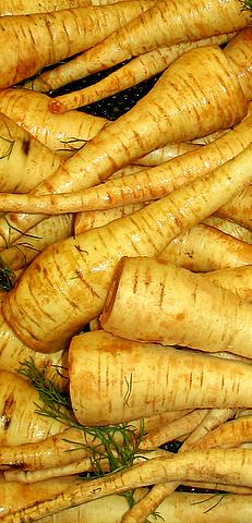 Le panais est un légume oublié qui ressemble à la carotte. © Licence Creative Commons