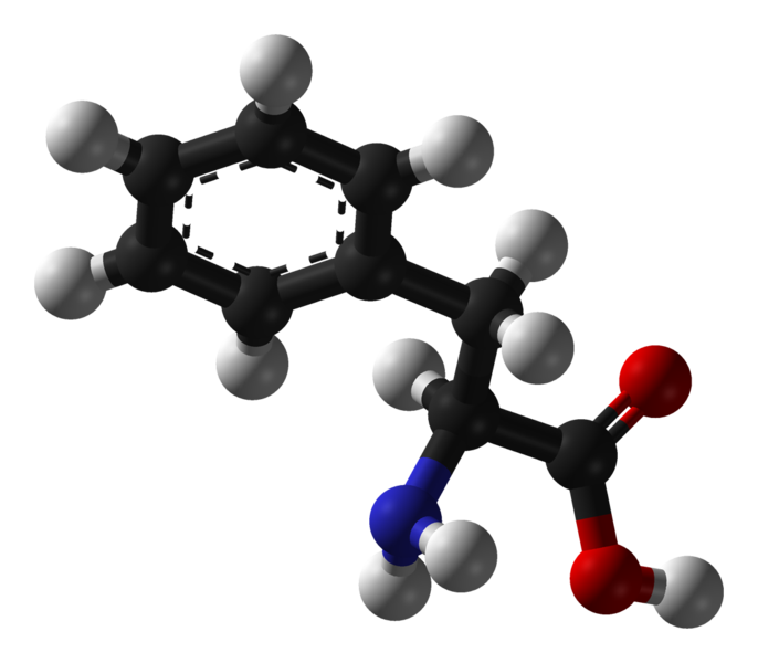La phénylalanine est un acide aminé essentiel. © Benjah-bmm27, Wikimedia, domaine public