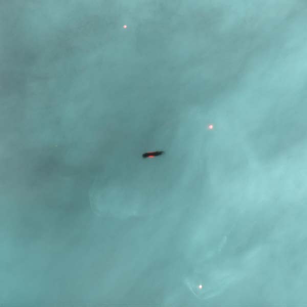 Une protoétoile entourée d'un disque protoplanétaire, vue par Hubble. © J. Bally, H. Throop, Nasa 