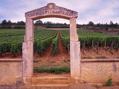 Le Montrachet produit des vins blancs accompagnant des mets fins. © DR