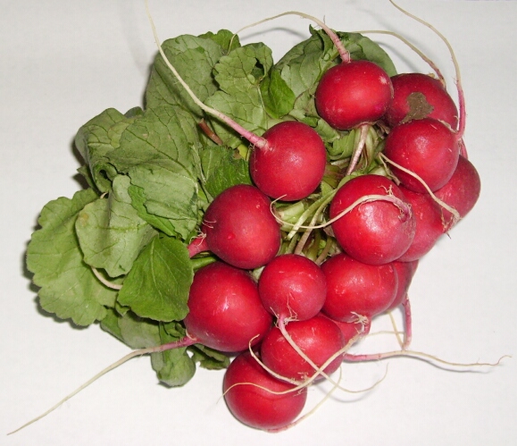 Les radis rose sont des légumes très appréciés en été. © DR