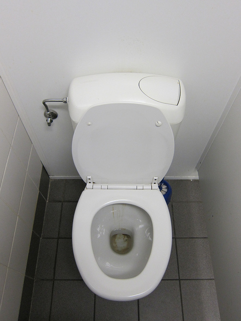 Un sanibroyeur permet d'installer des WC dans des endroits où les tuyaux d'évacuation sont trop petits.  © Arnaud Crucifix, CC BY-NC-SA 2.0, Flickr
