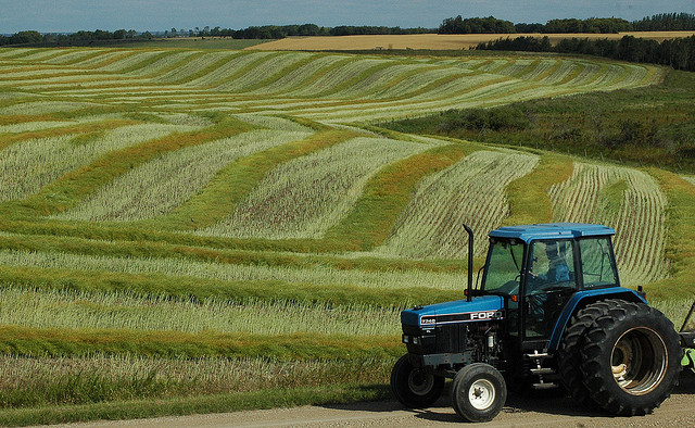 Dans l'histoire de l'agriculture, l'arrivée des tracteurs a permis l'agrandissement des parcelles agricoles et favorisé les paysages en openfield. &copy; jenny222, Fliskr, cc by nd nd 2.0