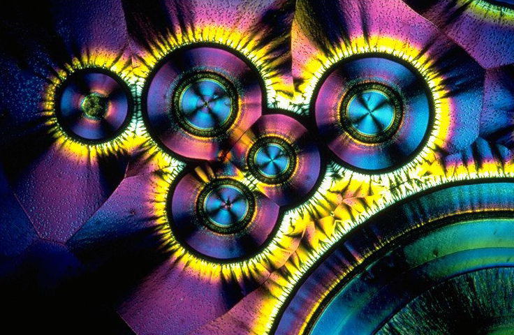 Des cristaux de vitamine C observés au microscope en lumière polarisée. © DR, CC by 1.0 