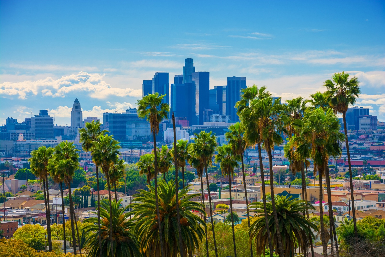 Aux Etats-Unis, la ville de Los Angeles compte planter 90.000 arbres dans toute la ville d'ici 2021. © Photographie Davel5957 / IStock.com
