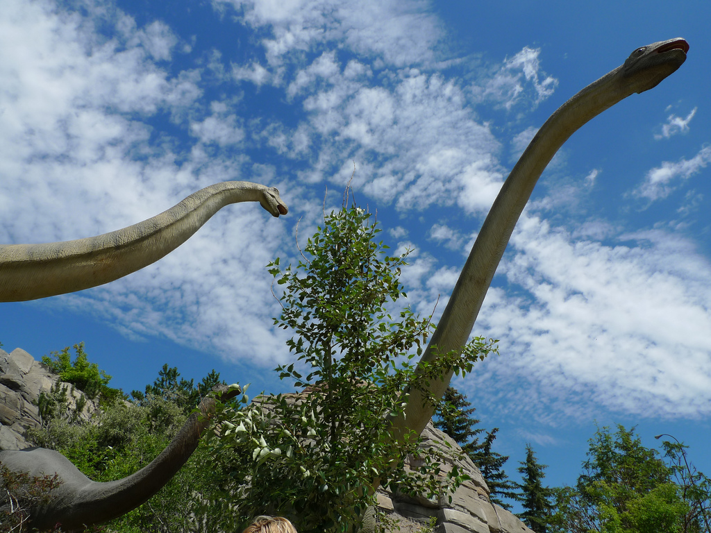 Le groupe des sauropodes compte parmi ses membres les plus grands animaux terrestres de tous les temps. Les individus considérés comme&nbsp;«&nbsp;nains&nbsp;»&nbsp;faisaient tout de même 5 à 6 m de long.&nbsp;© daniellemichon, Flickr, cc by 2.0