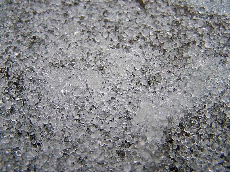Le grésil est formé de gouttes de pluie qui ont gelé durant leur chute. © Mike epp, Wikipédia, CC by 2.0