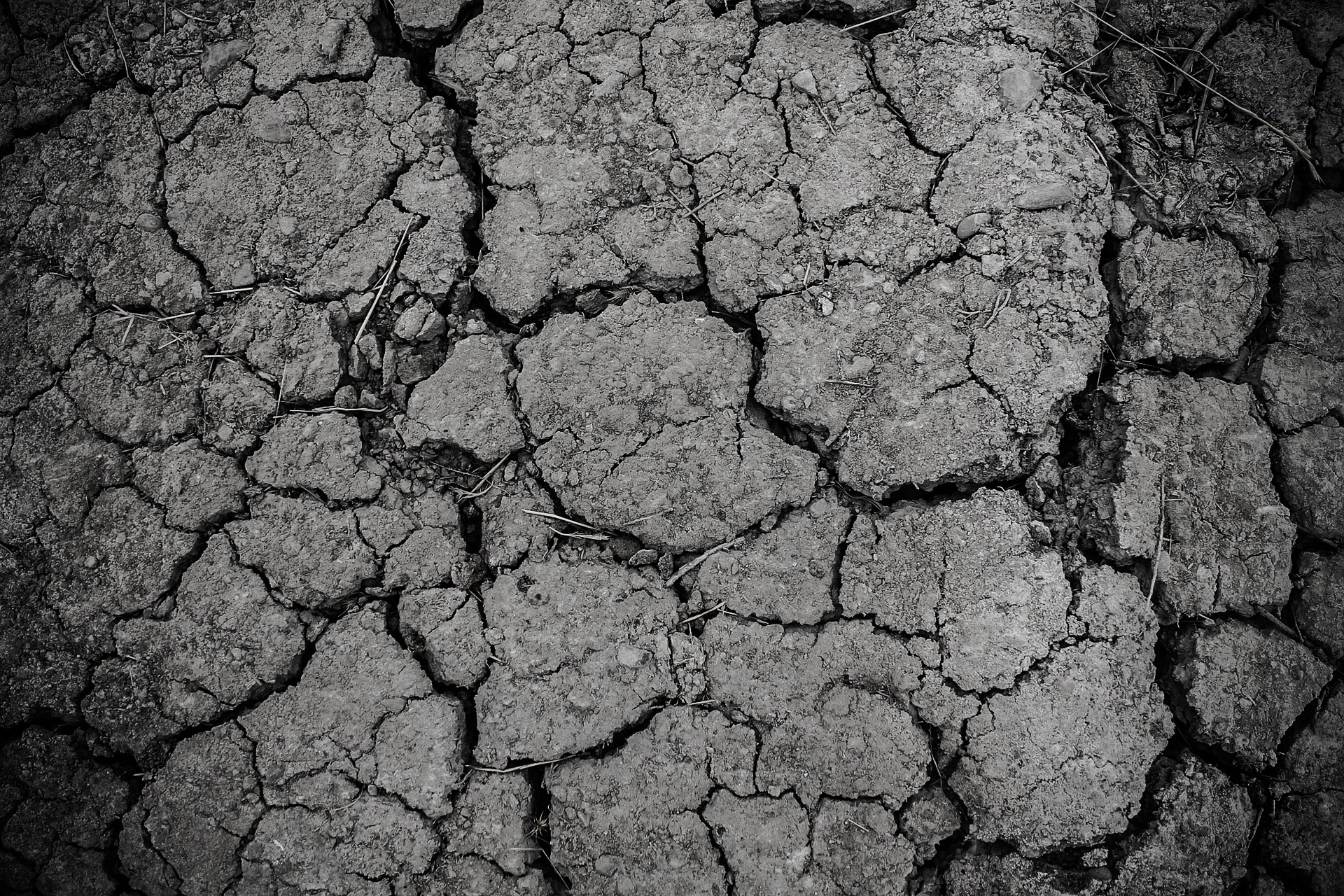 Le Roussillon est la zone de France qui souffre le plus de la sécheresse cet hiver. © pexels, pixabay