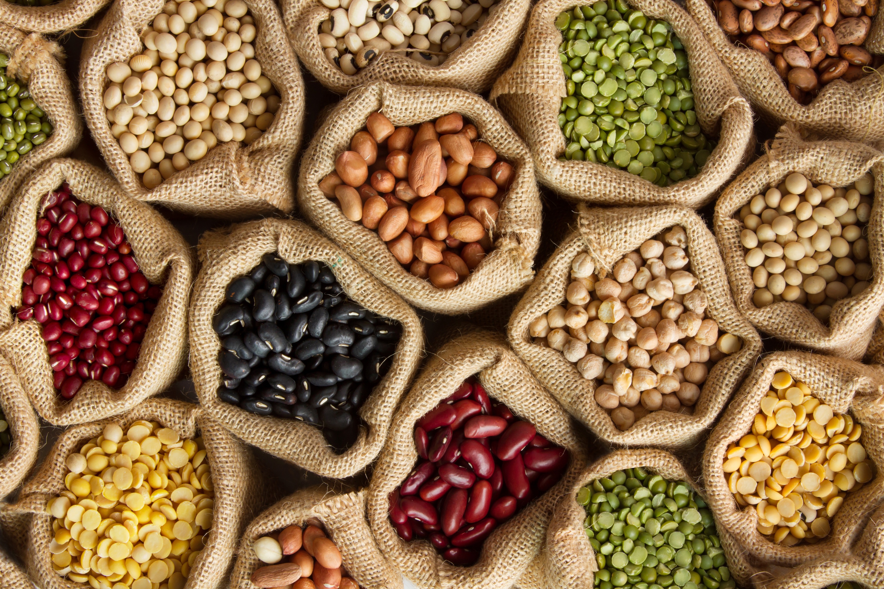 La campagne « Beans is how » de l'ONU a pour but de multiplier la consommation d'haricots par deux d'ici 5 ans. © piyaset, Adobe Stock
