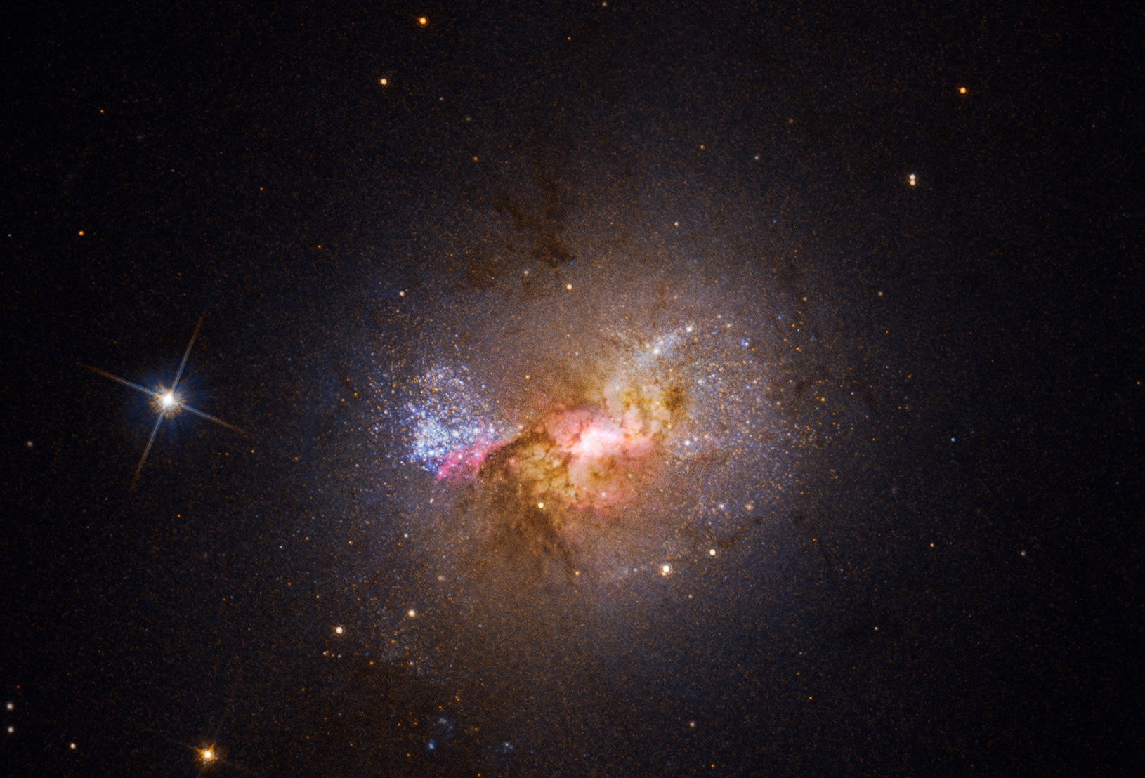 La galaxie d'étoiles naines Henize 2-10 scintille avec de jeunes étoiles dans cette image en lumière visible prise par Hubble. La région brillante au centre, entourée de nuages ​​roses et de bandes de poussière sombres, indique l'emplacement du trou noir supermassif de la galaxie et des pépinières stellaires actives.&nbsp;© Nasa, ESA, Zachary Schutte (XGI), Amy Reines (XGI) Traitement d'image : Alyssa Pagan (STScI)