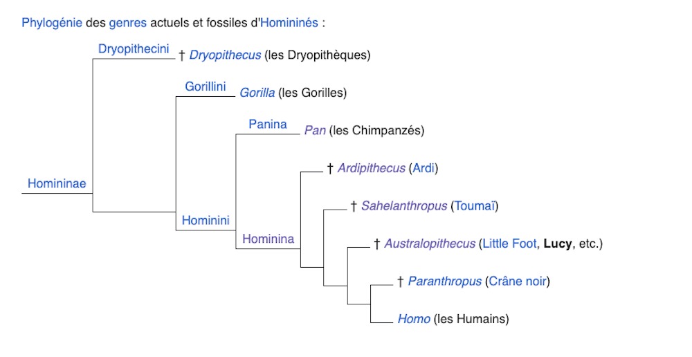 Image du site Futura Sciences