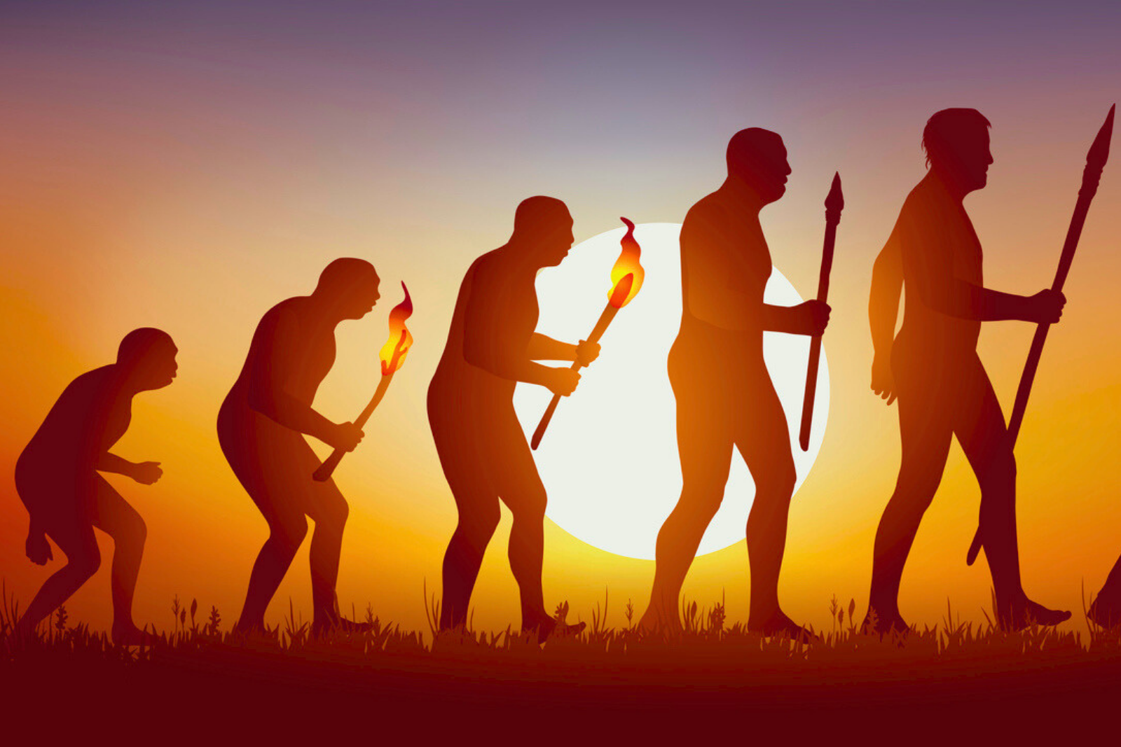 L'évolution de notre intelligence : un mystère enfin élucidé par la science. © Pict Rider, iStock