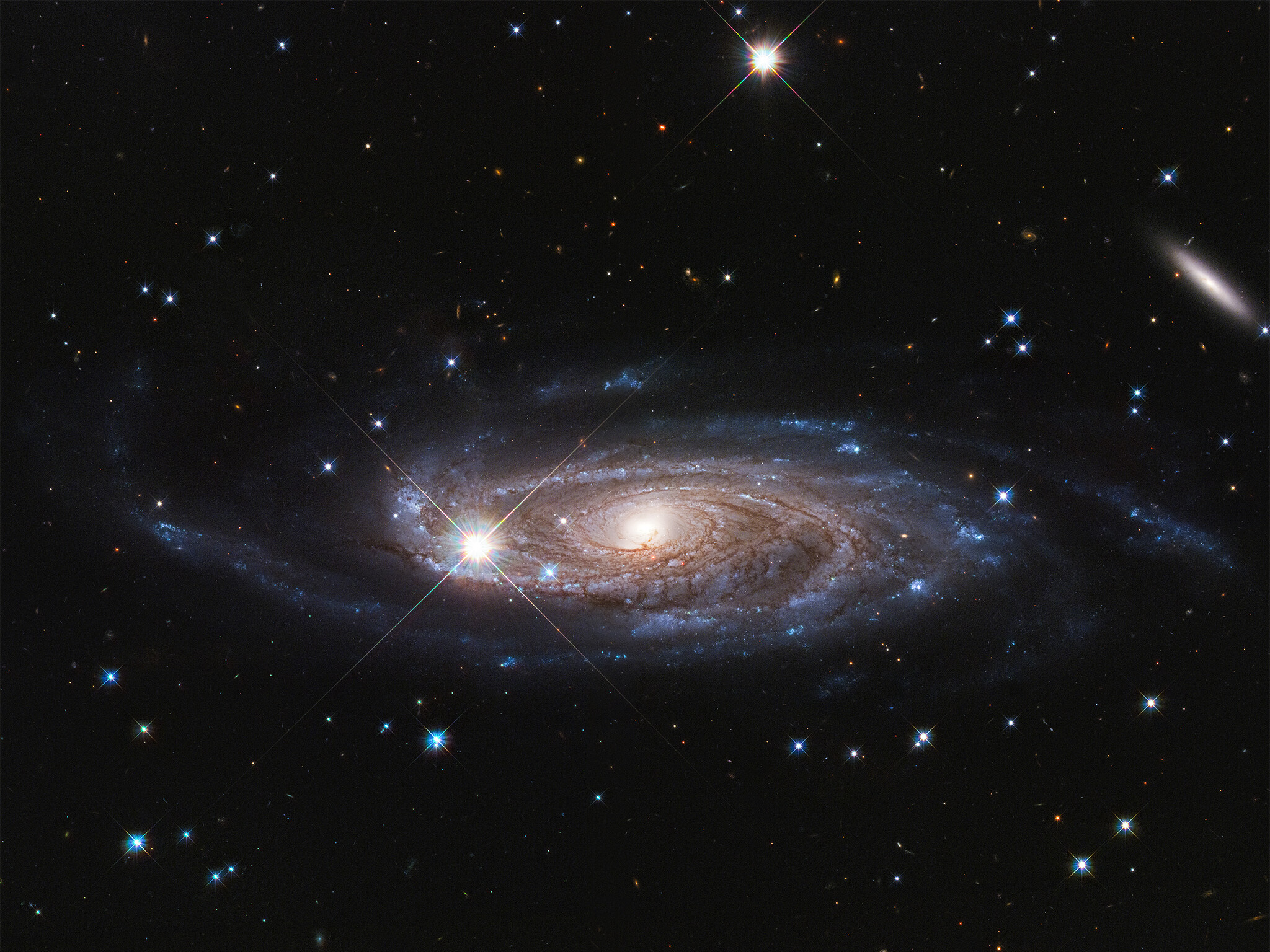 La Galaxie UGC 2885 est peut-être la plus grande de l'univers local. Elle est 2,5 fois plus large que notre Voie lactée et contient 10 fois plus d'étoiles. Cette galaxie est à 232 millions d'années-lumière, située dans la constellation nord de Persée. L'image a été prise par Hubble. © Nasa, ESA, and B. Holwerda (University of Louisville).