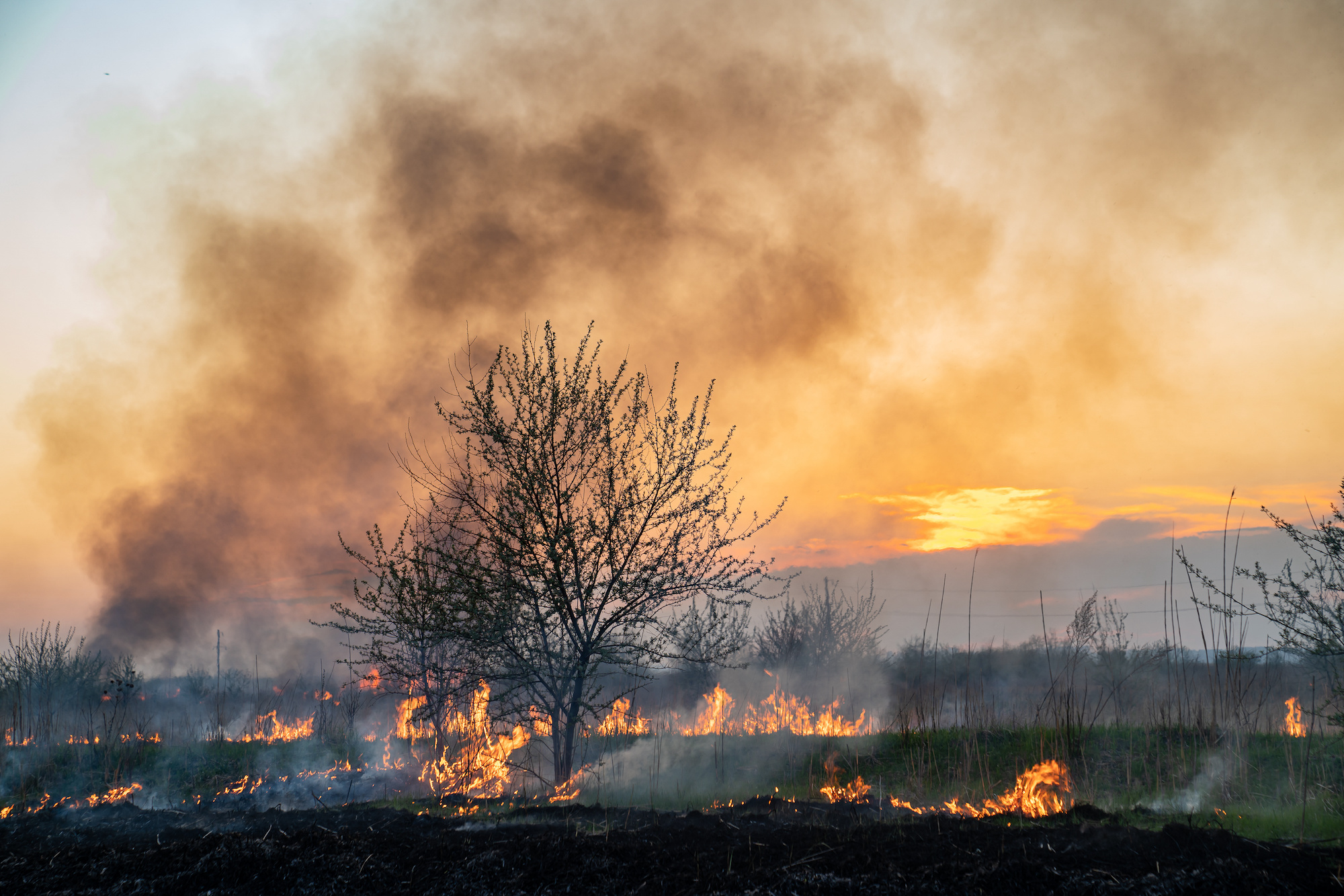 Des inégalités d’accès aux moyens de protection sont une des conséquences de plus de décès dus à la pollution de l'air dans les pays en développement. © Andrey, Adobe Stock