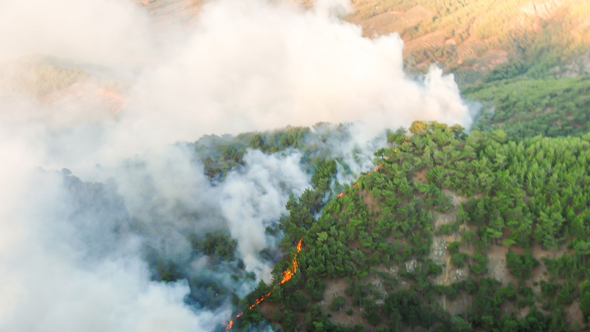 Près de 400 000 hectares ont déjà brûlés en quelques jours au Canada. © Gece33, Canva