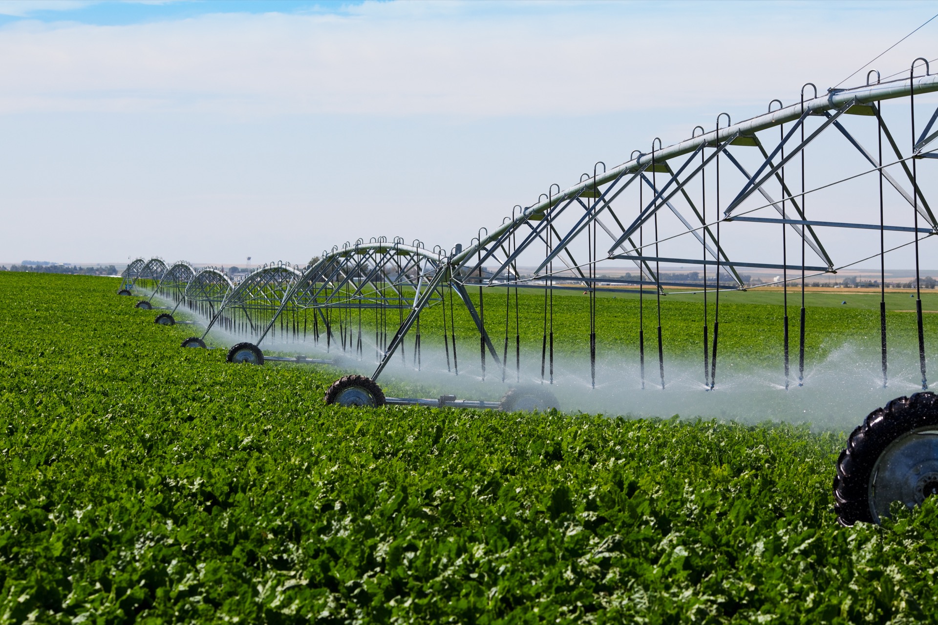 Des conflits d'usage vont-ils se faire jour ? car seul un scénario de sobriété limiterait significativement la hausse de la consommation d'eau. © Brenda Carson, Adobe Stock