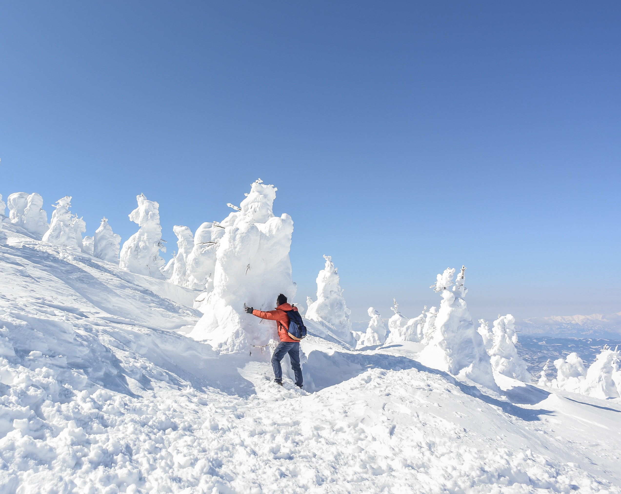 Le Japon a battu un record de neige en l'espace de quelques heures. © weniliou, Adobe Stock