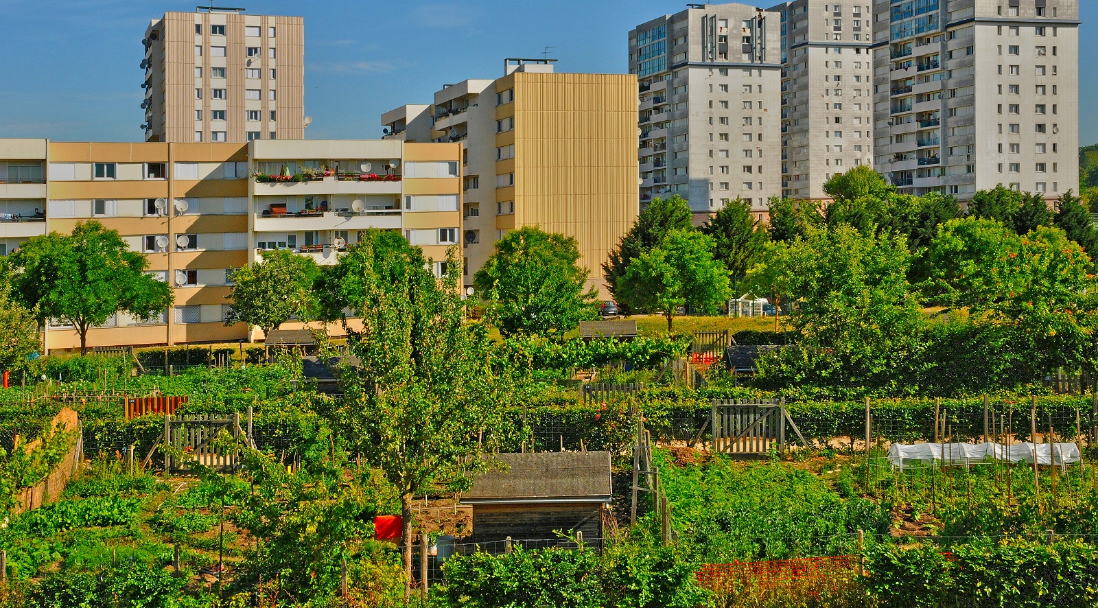 Jardins partagés dans les habitations des&nbsp;Mureaux, dans les Yvelines&nbsp;(78).&nbsp;© PackShot, Adobe Stock