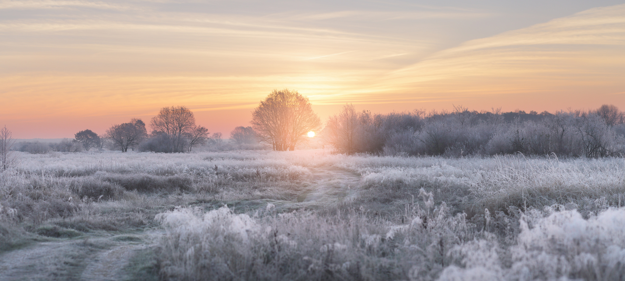 Le solstice d’hiver marque le premier jour de l’hiver. © PixieMe, Fotolia