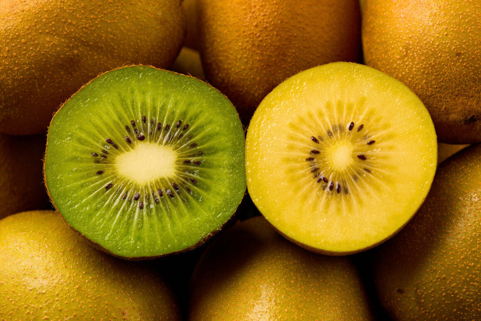 Les Actualités Nutrition | Futura