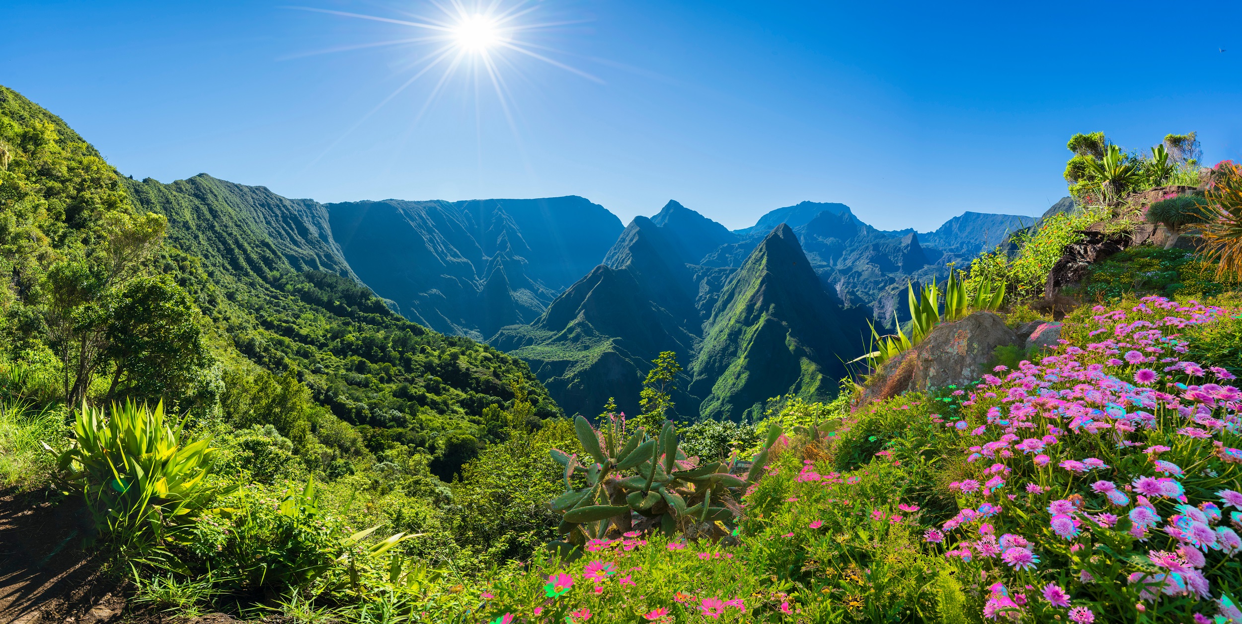La végétation foisonnante de La Réunion disparaît un peu plus chaque année. © Serenity-H, Adobe Stock