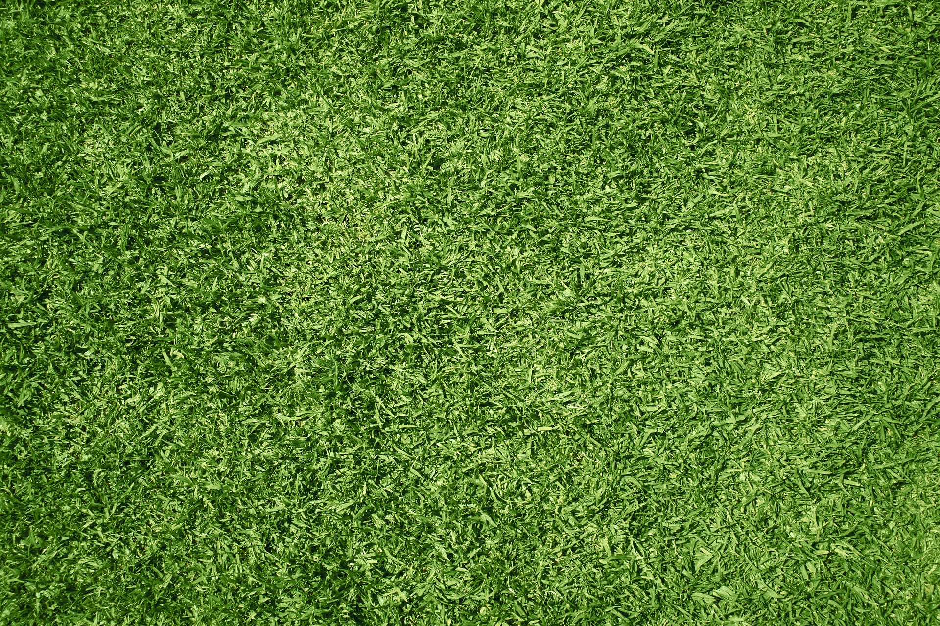 Les pelouses synthétiques transforment leur environnement en un désert stérile. © DaModernDaVinci, Pixabay